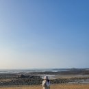 영흥도어울림캠핑장