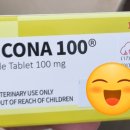 솔모루약국 이미지