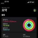 데일리 루틴(일상)