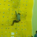 송도스포츠센터 이미지