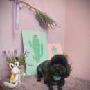 금동살롱 이미지