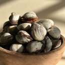 벌교택배2 이미지