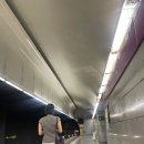 안경마트필 | 바르셀로나 2일차(사그리다파밀리아, 까사바트요, 까사밀라, 호프만베이커리, 엘그롭, 콜롬 colom)