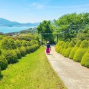 바다위에정원 이미지