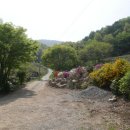 아산청풍펜션 이미지