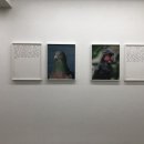 헤적프레스 이미지