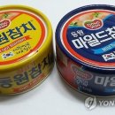 태풍참치 이미지