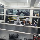 복싱바이러스 동양점 이미지