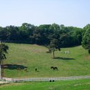 원두목장 이미지