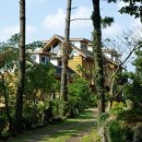 삼나무집펜션 이미지