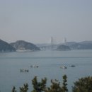 대교유리 이미지