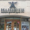 맘모스찜닭 이미지