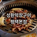성환막창구이 | 평택 세교동 곱창맛집 성환막창구이 평택본점 한우고기집 소곱창구이 소막창구이 메뉴추천 솔직후기