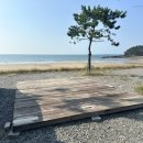 태안 캠핑장 사목공원캠핑장 눈부신 바다뷰와 일몰 명당 F1 후기