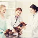 인천종합동물병원 이미지