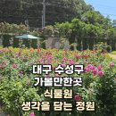 [수성구청] 생각을 담는 정원 | 대구 수성구 가볼만한곳 식물원 생각을 담는 정원
