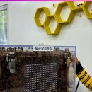 이상열농장 이미지