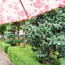 튼튼채내과의원 | 생각보다 양호한 모더나 1차 접종 후기