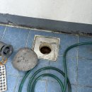 건영 세탁 이미지