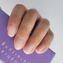 르사(LSA) 이미지