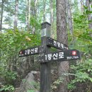 화왕산약국 이미지