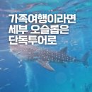 워니투어 | 세부 오슬롭 고래상어 모알보알 호핑투어 후기 가족여행이라면 노팁 단독투어로