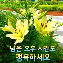 여왕모자 이미지