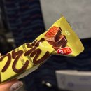 버스정류장(14-186) | 뚜뚜 26년 01월 목포 여행