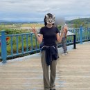 현대만능세탁 | 키밍ootd | 가을 데일리룩, 브랜디멜빌 성수 구매 및 코디 후기, alo 알로 코디, 라플라, 비노블라 등