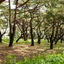 송림여관 이미지