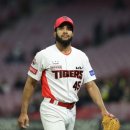 메디나인 이미지