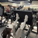 더웰피트니스 만년점 만년동헬스/도룡동헬스 추천