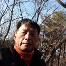 솔담2 Daum카페
