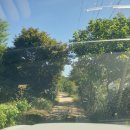 금바위농장 이미지