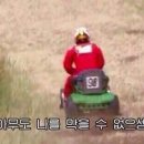 비오네손칼국수 이미지