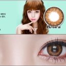 바비 펫 이미지