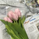 평화의 문 | 부산 범일동 꽃시장 구경하기 좋은 곳, 평화시장 생화 쇼핑 후기 🌷