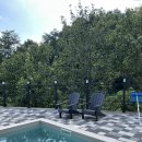 나무들의 수다 이미지