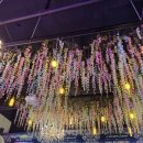 부라보맥주 군산조촌점 이미지