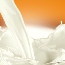 배성식품 이미지