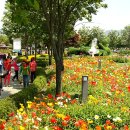 연꽃방죽체육공원 이미지