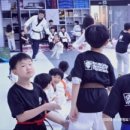 상무석사태권도 이미지