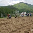 황부자농장 이미지