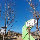 주식회사 위라이드 | 부산기장루지 가격 코스 스카이라인 루지 부산 가볼만한곳 여행특공대 티켓