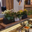 진선식당 이미지