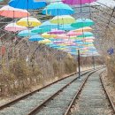 포바이크 | [경북 청도 여행] 청도레일바이크 16개월 아이와 타본 솔직후기