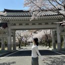 합성동315 이미지