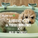 개봉목욕탕 | 🛁 시루의 목욕탕 업그레이드! 접이식 애견 욕조 리뷰 💚