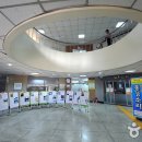 광주광역시립사직도서관 이미지