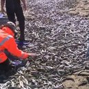 해선농장 이미지